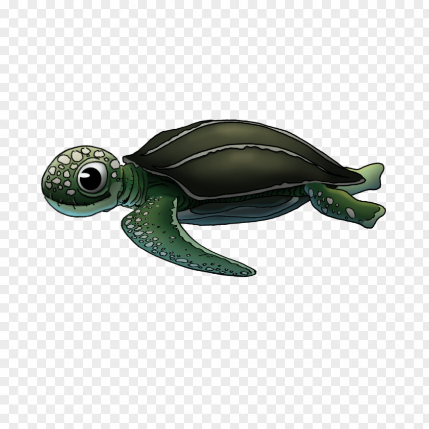 Turtle Animated Sea Pond Turtles PNG