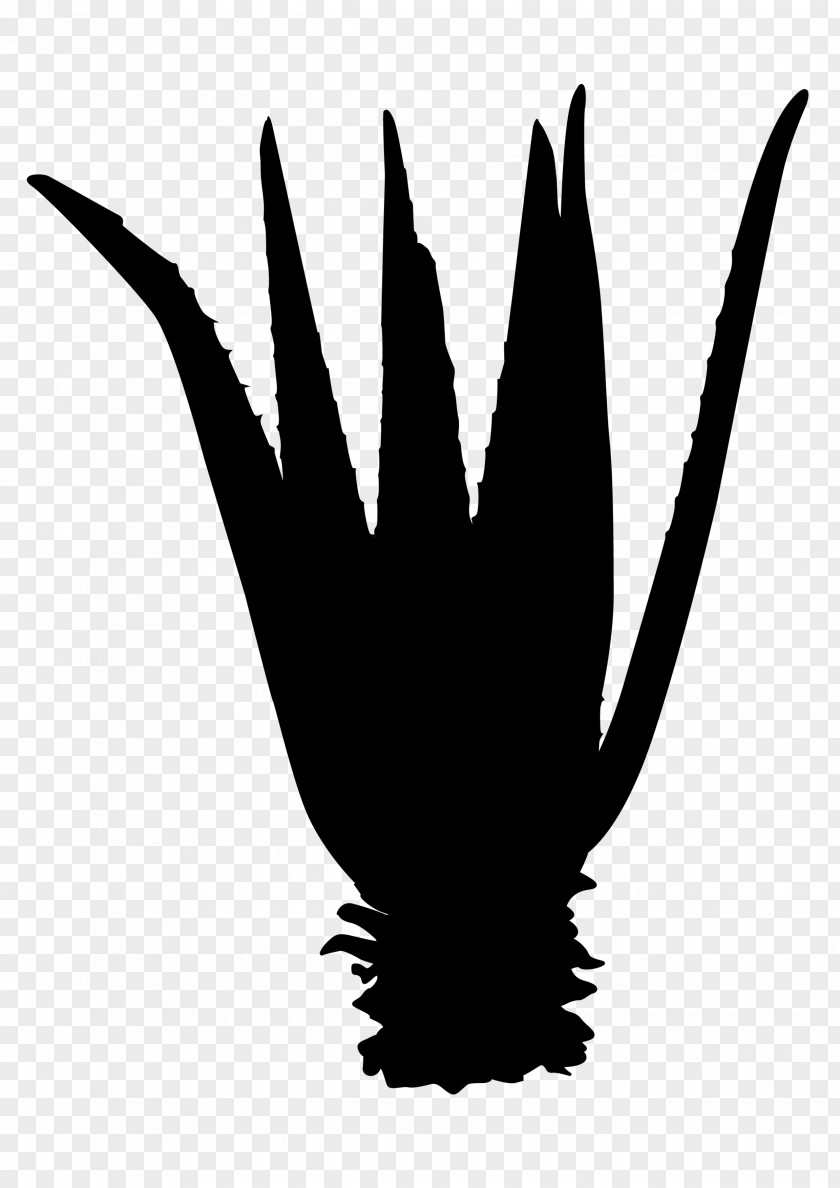 Beak Clip Art Finger Silhouette Feather PNG