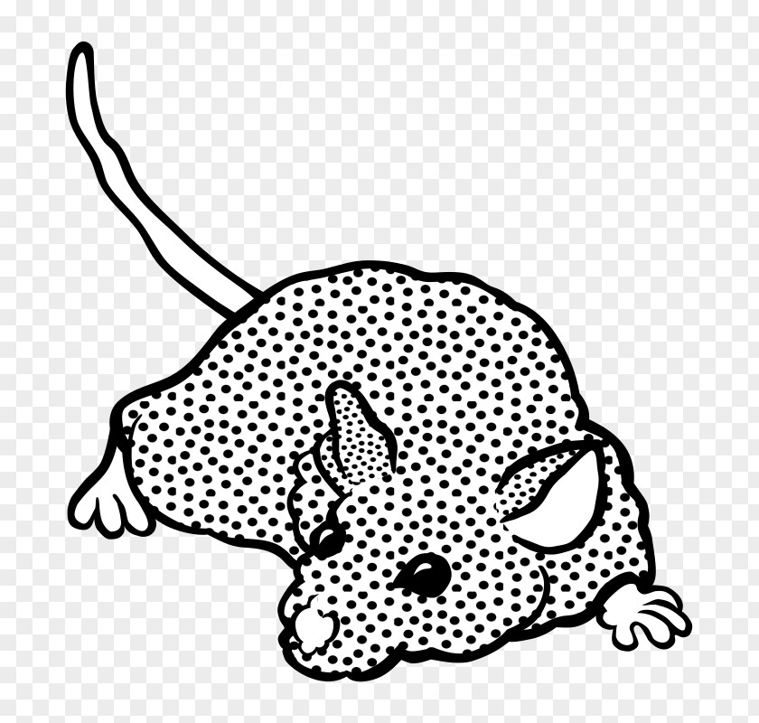 Computer Mouse Black And White Drawing Clip Art PNG