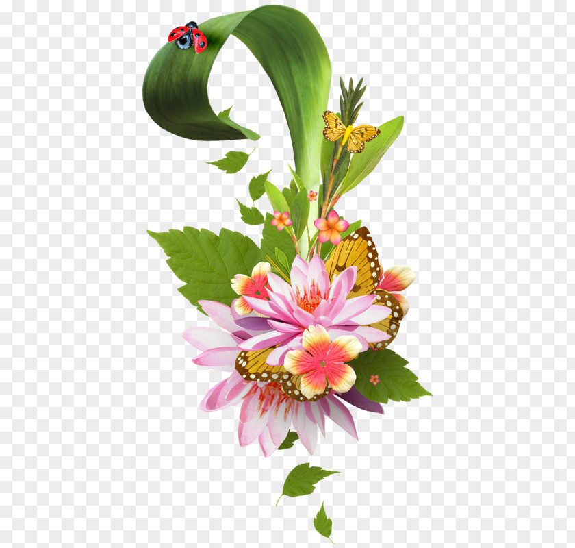 Floral Design Photography Clip Art PNG