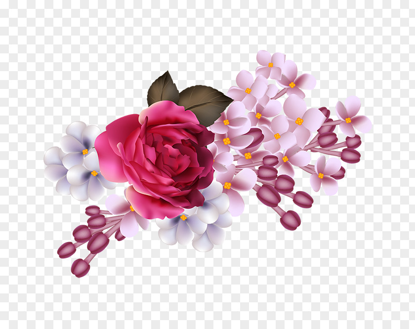 Flower Photography Wallpaper PNG