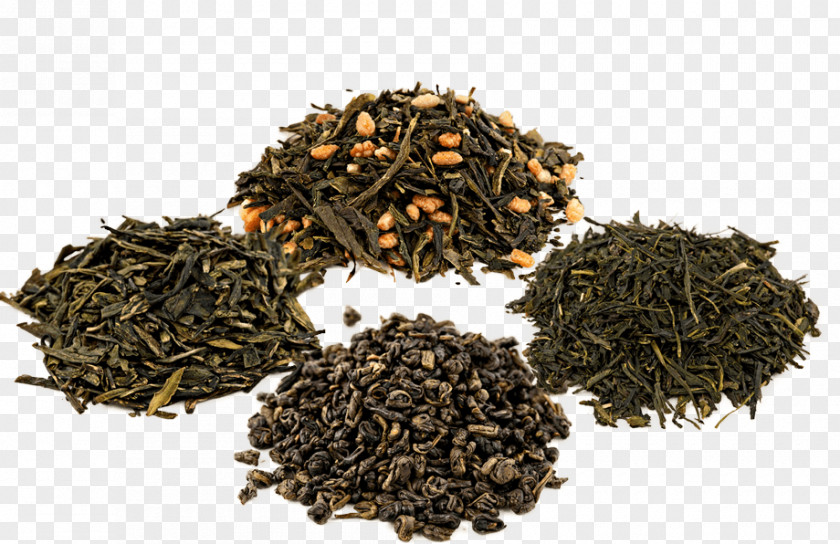 Green Organic Oolong Tea Dianhong Nilgiri PNG