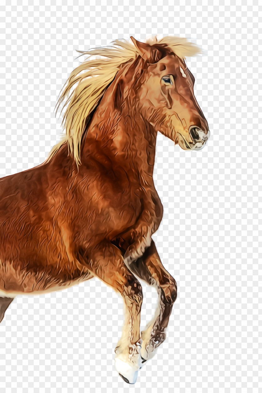 Mare Animal Figure Horse Sorrel Mane Mustang Stallion PNG