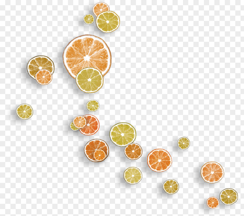 Orange Oranges Lemon Slices Floating Material Mandarin PNG