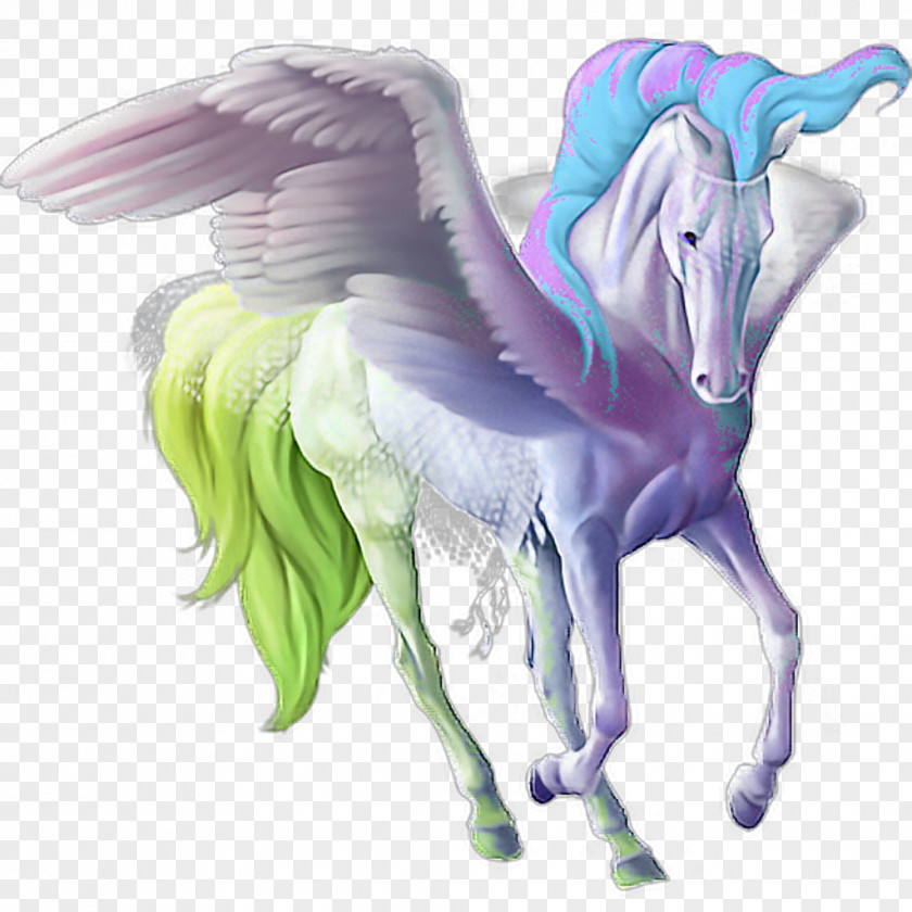 Pegasus Howrse American Quarter Horse Unicorn Thoroughbred PNG