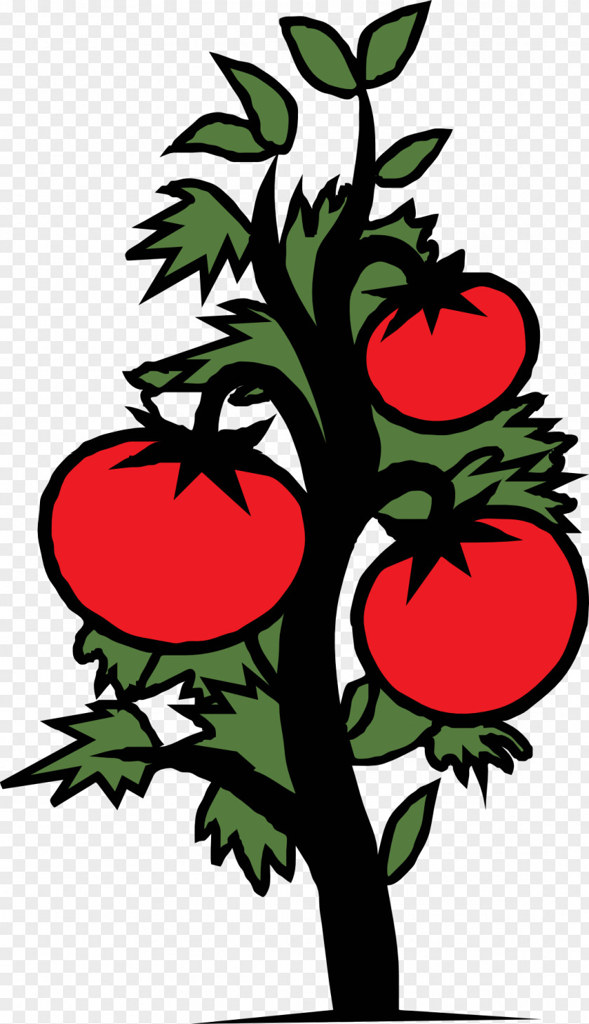 Tomato Cherry Vegetable Plant Clip Art PNG
