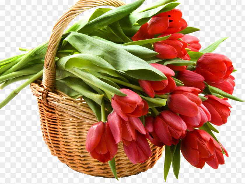 Tulip Flower Bouquet Still Photography PNG