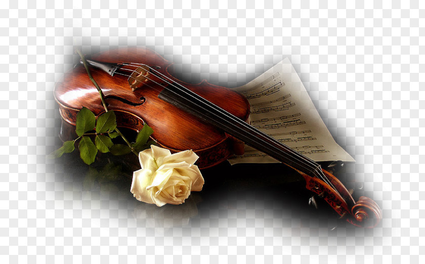 Violin Musical Instruments Fiddle Desktop Wallpaper PNG