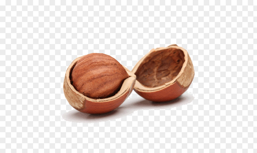 Walnut Hazelnut Nutshell Peel Clip Art PNG