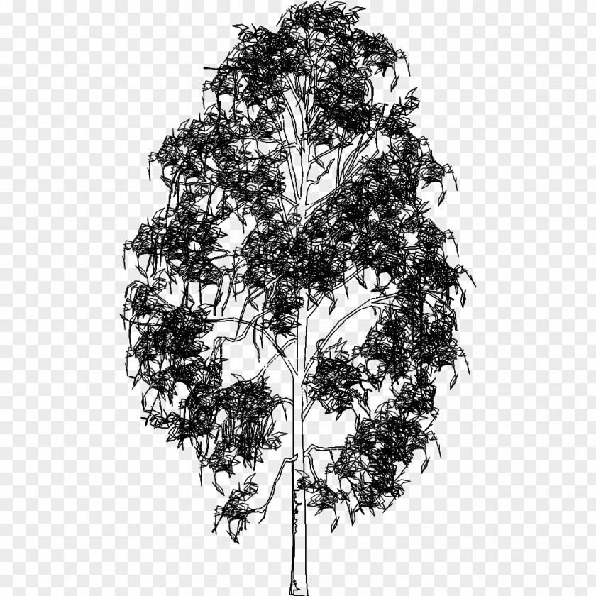 3D Tree Twig Pine Leaf White Flowering Plant PNG