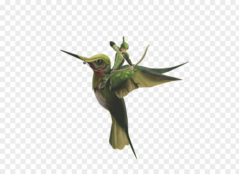 Hummingbird M Fauna Beak PNG