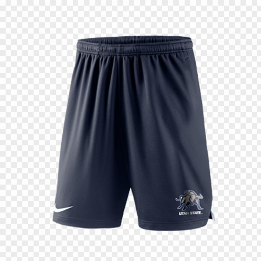 Nike Swim Briefs Bermuda Shorts Kentucky PNG