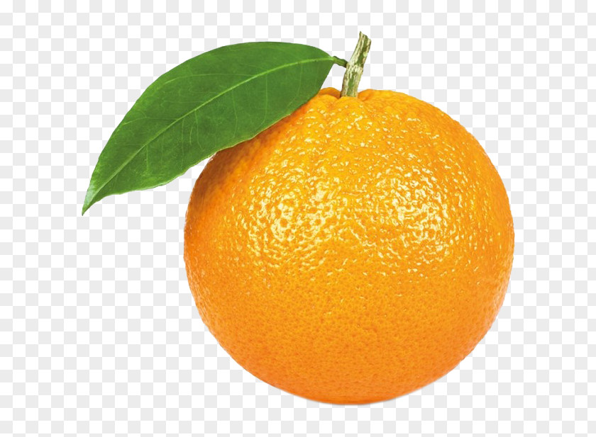 Orange Juice Citrus × Sinensis Stock Photography Mandarin PNG
