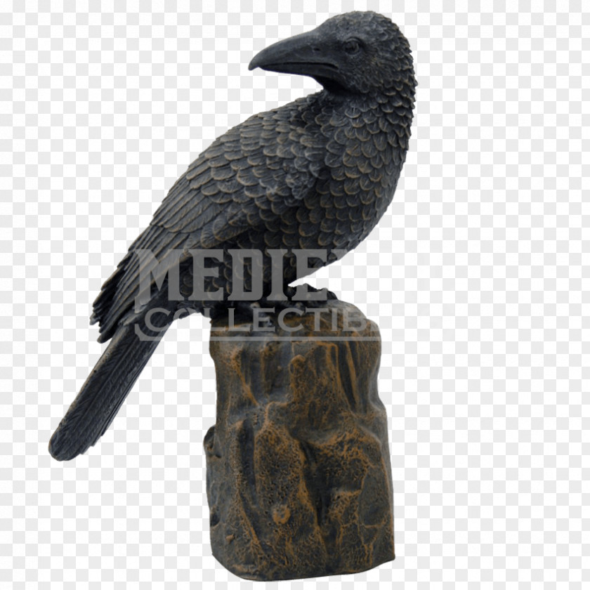 Perched Raven Overlay American Crow Bird New Caledonian Bronze Sculpture PNG