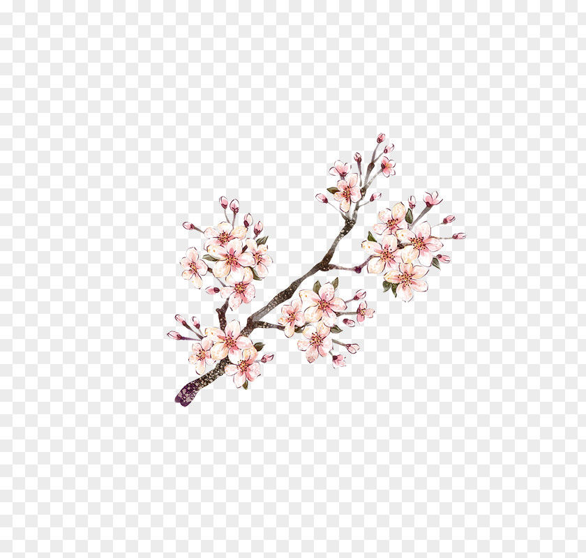 Plum Flower Download Blossom Red PNG
