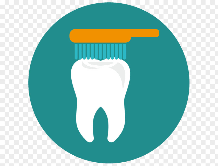 Tooth Excelsior Family Dental Dentistry Minnetonka PNG