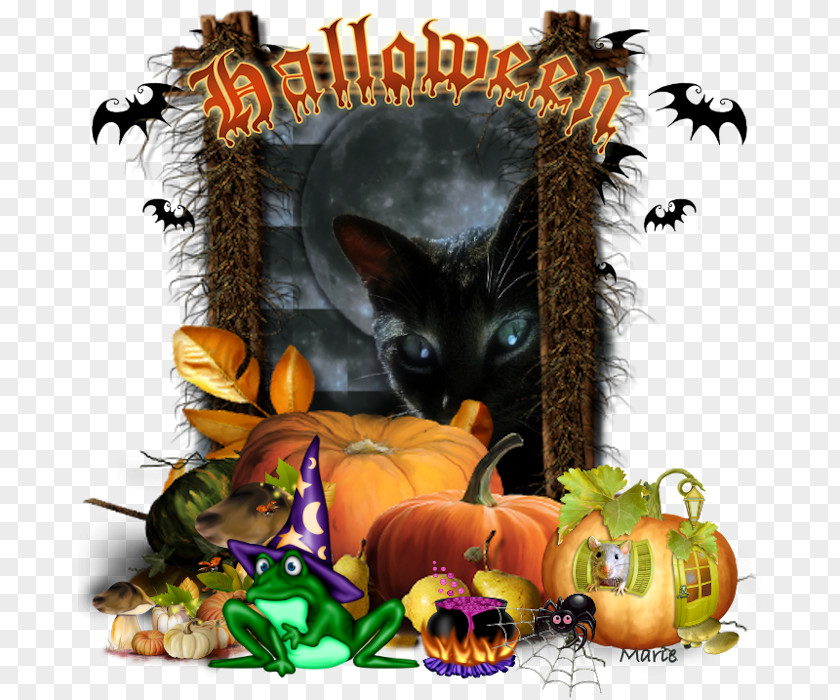 Cat Whiskers Tales Of The Grotesque And Arabesque Halloween Fauna PNG