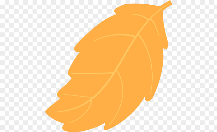 Clip Art Leaf Fruit Orange S.A. PNG