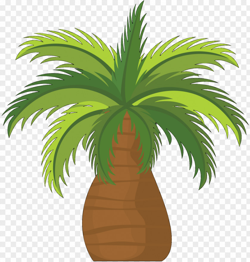 Coconut Tree Vector Graphics Image PNG