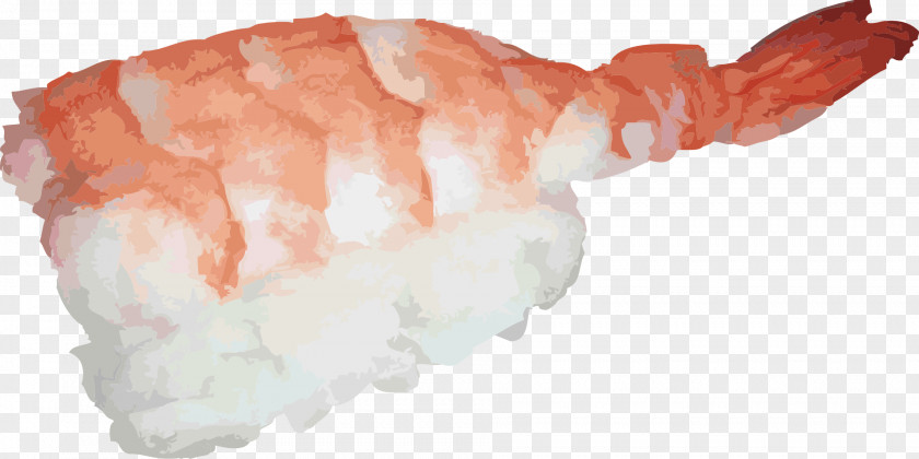 Japanese Shrimp Sushi Cuisine Sashimi Raw Foodism Clip Art PNG