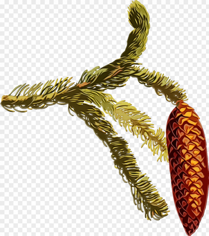 Metal Pine Tree Plant Family PNG
