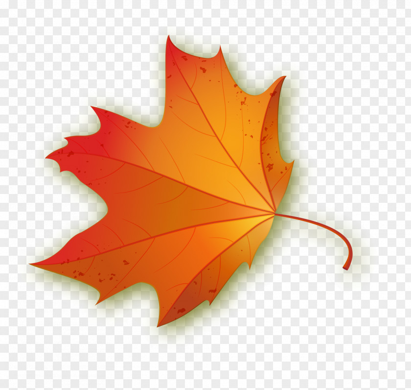 Orange Concise Maple Leaves Leaf PNG