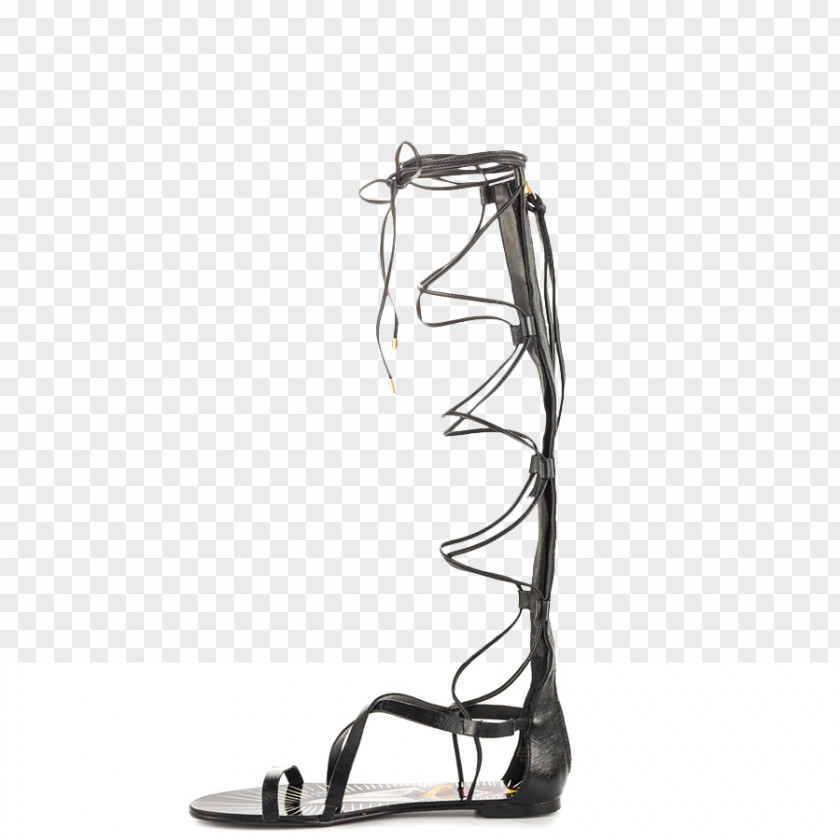 Sandal High-heeled Shoe Product Design Knee PNG
