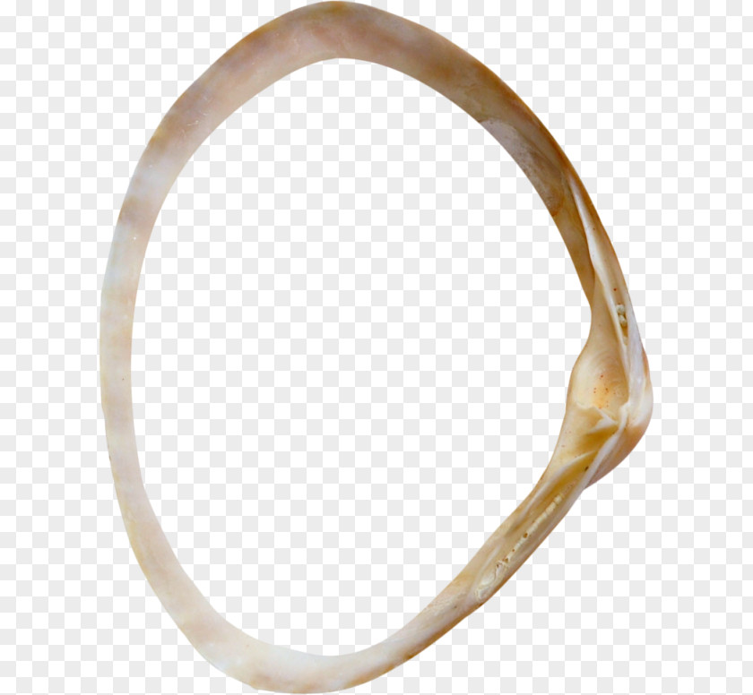 Wedding Ring Bangle Material Body Jewellery PNG