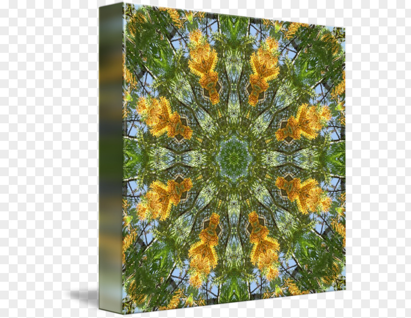Yellow Tree Sunflower M Wildflower Pattern PNG
