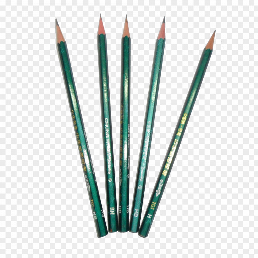 A Bunch Of Pencil Estudante PNG