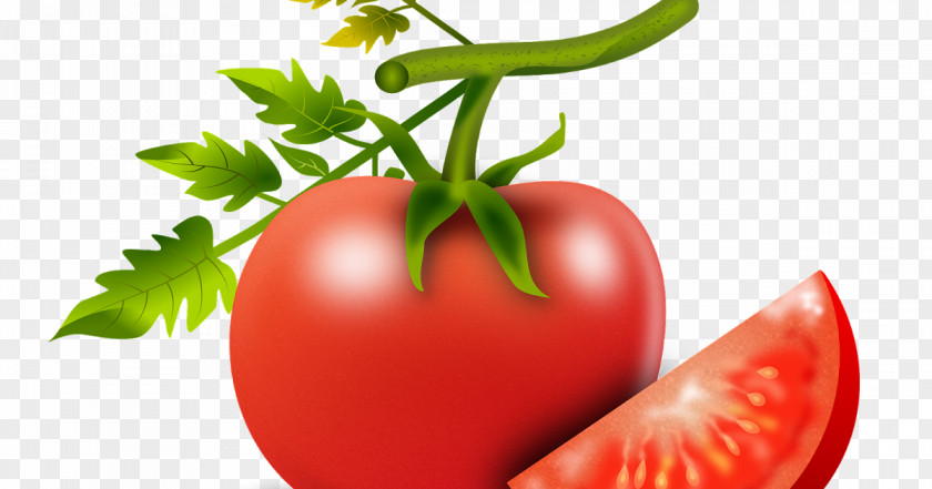 Food Vegan Nutrition Tomato PNG