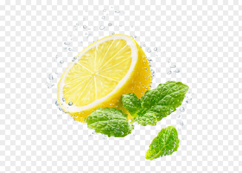 Lemon Lemon-lime Drink Chris Hutter Fotostudio B.v. Bar-le-Duc PNG