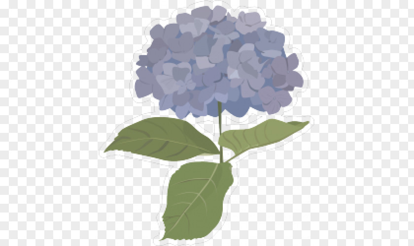 Design French Hydrangea Clip Art PNG