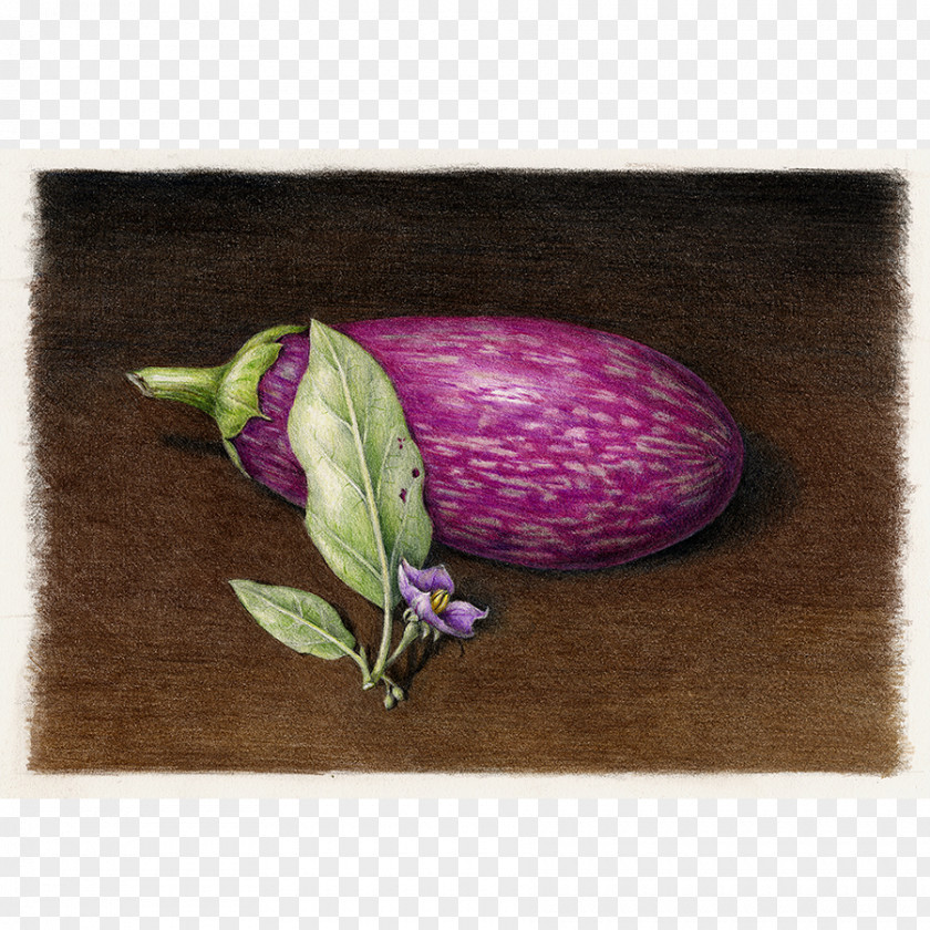 Eggplant Drawing Botany Vegetable PNG
