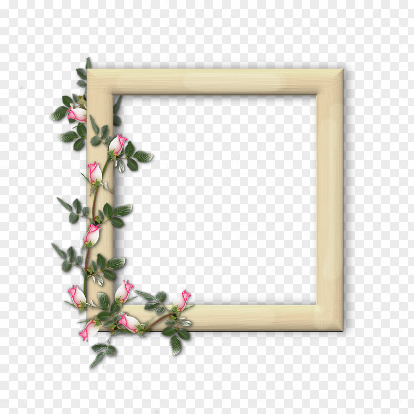 Enredadera Picture Frames Vine Drawing Photography PNG