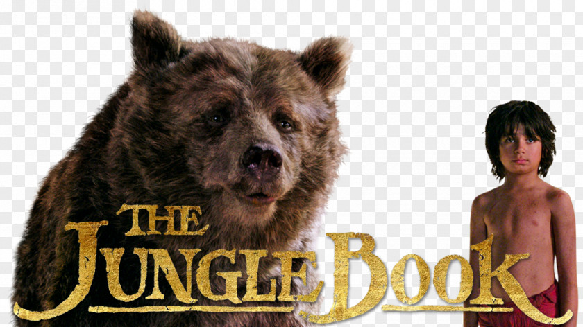 Junglebook The Jungle Book Mowgli Fan Art Walt Disney Company Film PNG