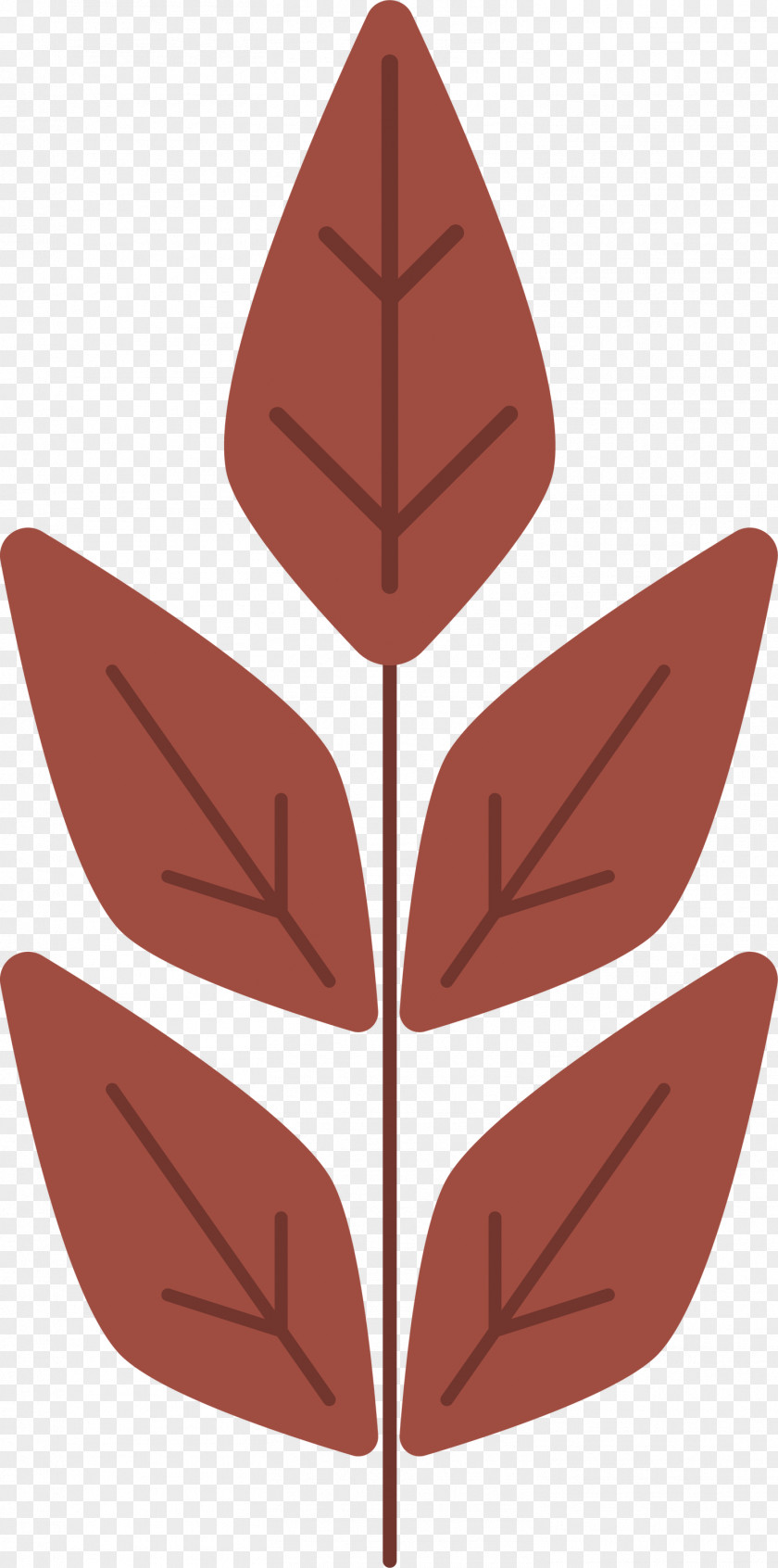 Leaf Flower Pattern Symmetry Angle PNG