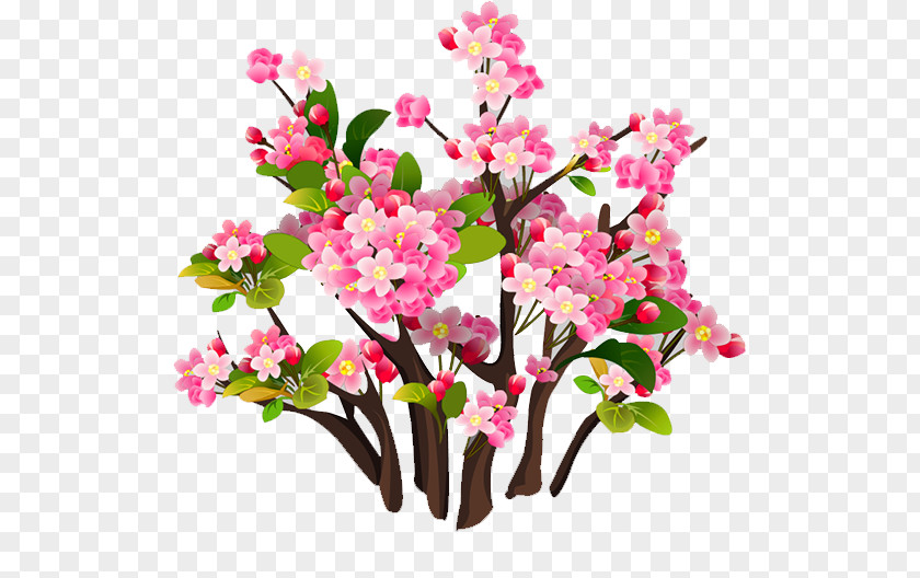 Plant Floral Design Cut Flowers Flower Bouquet PNG
