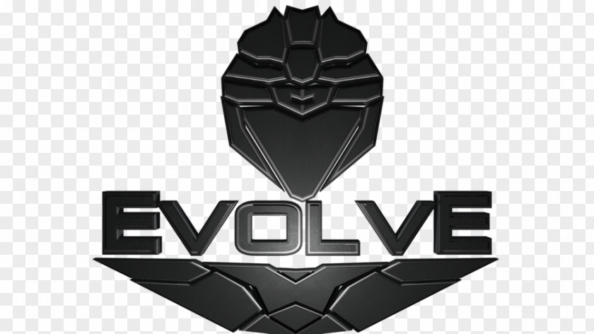 Afd Logo Evolution Brand PNG