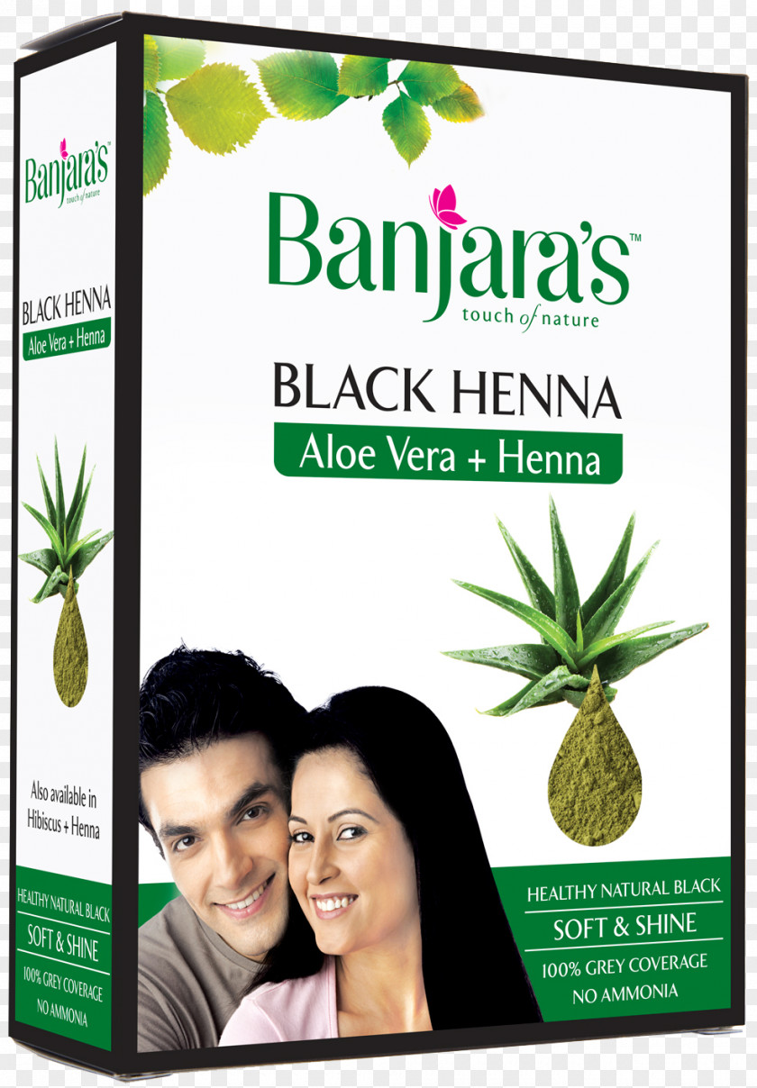 Dye Hair Coloring Henna Aloe Vera Care Human Color PNG