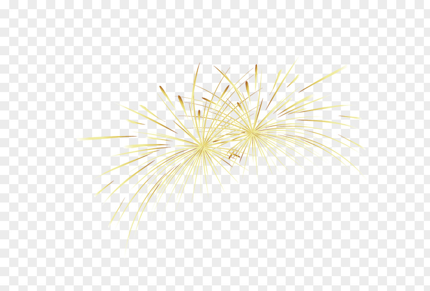Fireworks Yellow Gold PNG