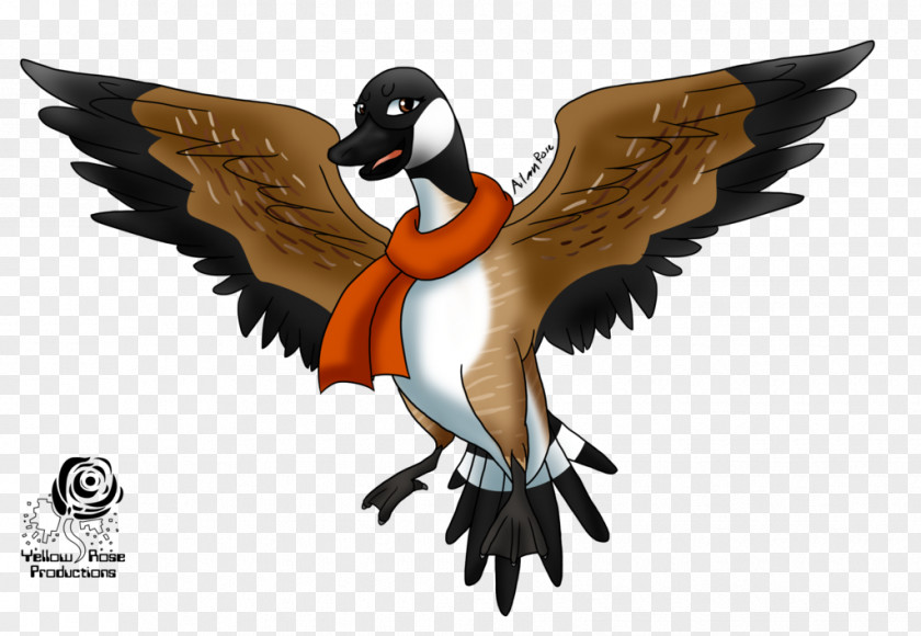 Flock Duck Canada Goose Bird PNG