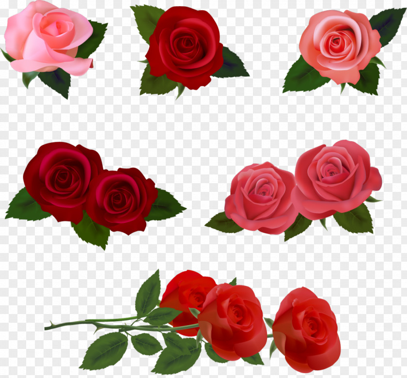 Rose Vector Clip Art PNG