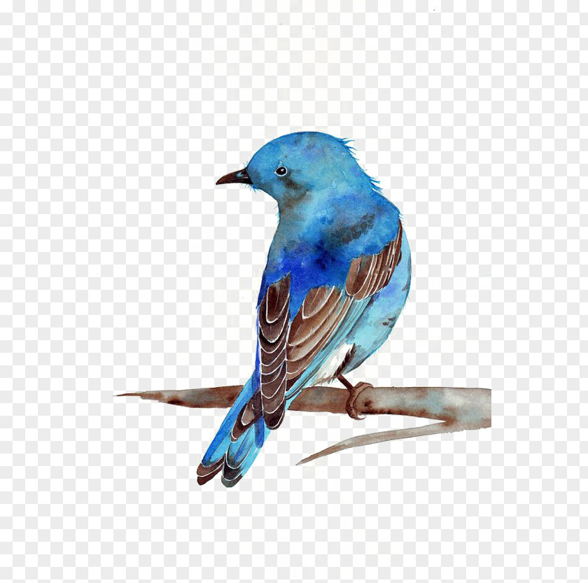 Sparrow Watercolor Painting Bluebird Printmaking PNG