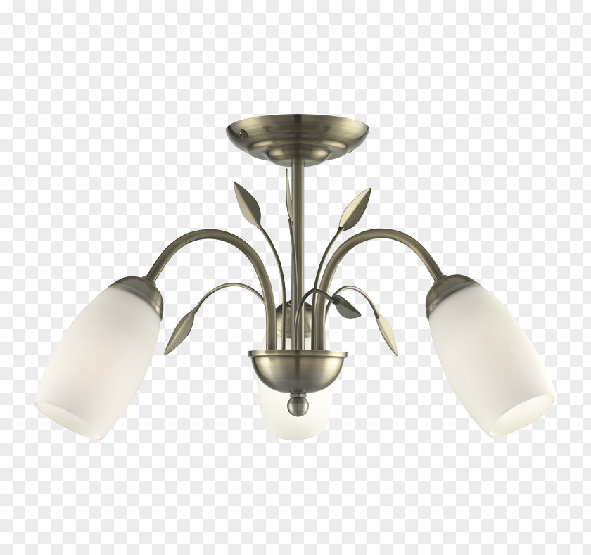 Symphony Lighting Edison Screw Incandescent Light Bulb Brass PNG
