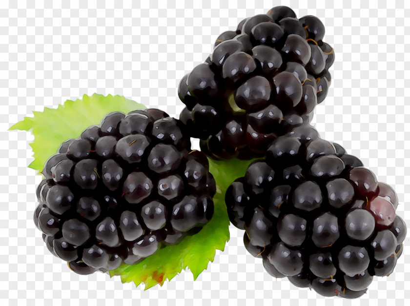 Blackberry Fruit Brambles Raspberry Berries PNG