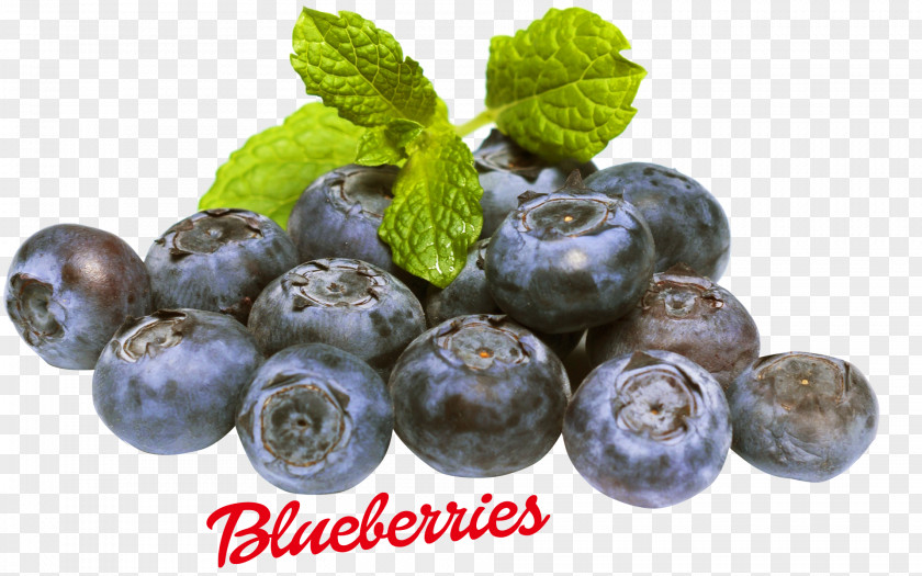 Blueberry Food Fruit Vaccinium Myrtilloides PNG