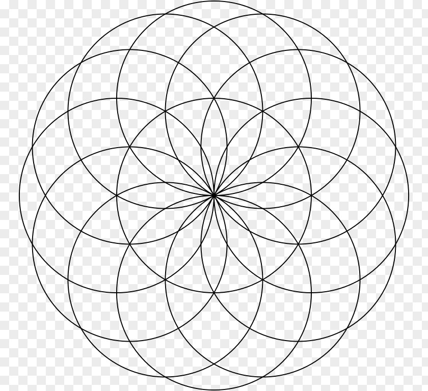 Circle Torus Sacred Geometry Vesica Piscis PNG
