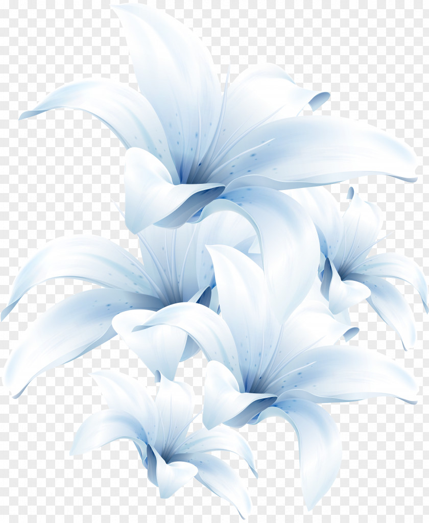 Hand-painted Lily Flower Desktop Wallpaper Blue 1080p High-definition Television PNG