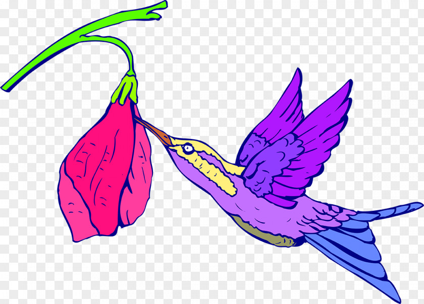 Hummingbird Royalty-free Clip Art PNG